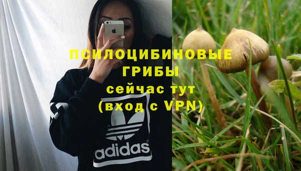 героин Елабуга