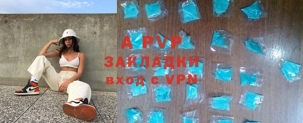 твердый Дмитров