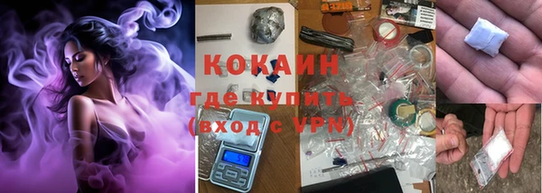 стаф Покачи