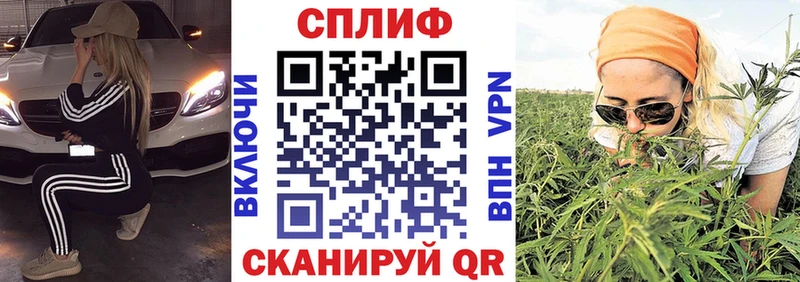 где купить   omg ТОР  Бошки Шишки ГИДРОПОН  Няндома 